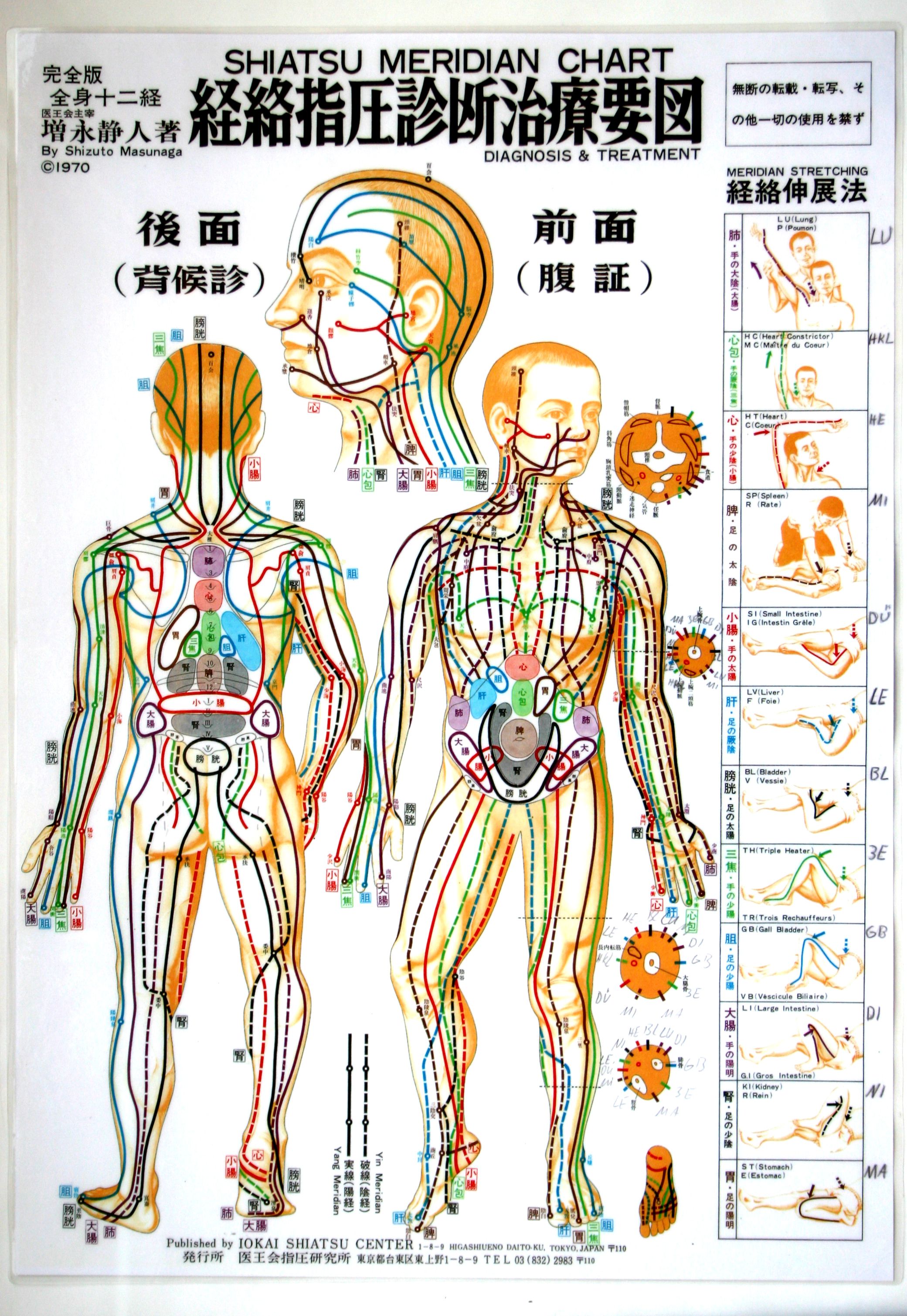 Meridiankarte vom menschlichen Körper